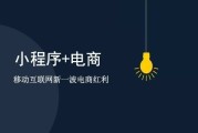 电商与平台(内容电商和平台电商)