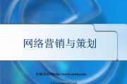 企业网络营销策划(企业网络营销策划方案设计的例子)