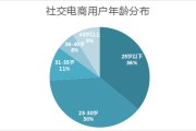 社交电商的几种模式有(最火的六种社交电商模式)