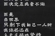 励志视频文案(励志视频文案素材库)