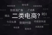 电商是什么啊(请问电商是什么)