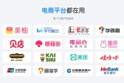 山东电商平台(山东电商平台诈骗)