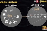 什么叫私域电商(传统电商和私域电商的区别)