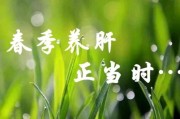 春季养肝宣传文案(春季养肝宣传文案图片)