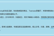 知名自媒体(知名自媒体人)