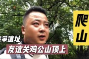 自驾游自媒体收入(自驾自媒体收入排行)