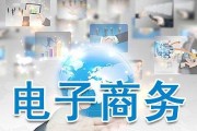 电商服务平台是做什么(做电商服务的公司有哪些)