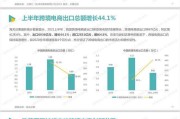 电商平台概况(电商平台公司简介)