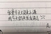 初中生的文案(初中生的文案怎么写)