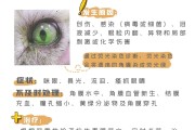 媒介行(媒介行为)