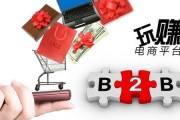 常见的电商平台有哪些(常见的电商平台有哪些类型)