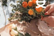 励志早安文案(早晚安励志文案)