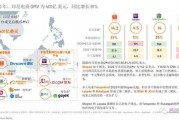 印尼电商市场(印尼电商市场潜力)