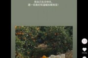 35岁生日文案(35岁生日文案图片)