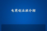 介绍电商项目(介绍电商项目怎么介绍)
