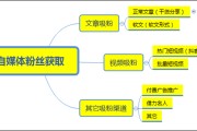 自媒体运营思路(自媒体运营思路和方法)