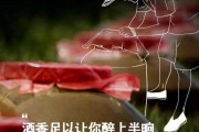 白酒活动文案(白酒活动文案,拿瓶盖换现金可以不)