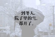 冬的文案(一起走过春夏秋冬的文案)