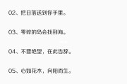 高质量情侣文案(高质量情侣文案长句)