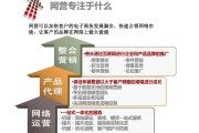 电商商务运营(电子商务运营综合实训500)