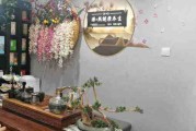 spa文案(眼部spa文案)