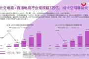 电商行业(电商行业会计账务处理)