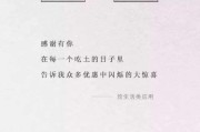 广告文案集合(广告文案作品集)