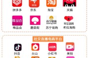 乐道电商(麦道乐电子商务)