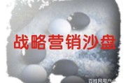 无差异营销战略(无差异营销战略的名词解释)