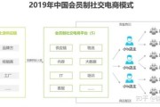 分销类社交电商(分销类社交电商产品)