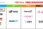 哪些属于垂直媒体(什么叫垂直媒体平台)