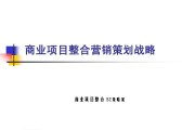 营销策略模板(营销策略产品策略模板)