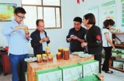 甘肃陇南电商(甘肃陇南电商试点示范)