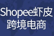 跨境电商可以是个人吗(自己一个人可以做跨境电商吗)