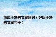 女儿的文案短句(爸爸宠女儿的文案短句)