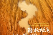 大广赛长文案(大广赛长文案字数)