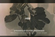 变好的文案(努力变好的文案)