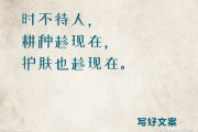 暗示赶紧来夏天的文案的简单介绍