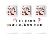 车厘子朋友圈文案(车厘子的朋友圈文案)