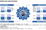 国内小众电商平台(小众跨境电商平台有哪些)