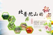 蜂蜜的推广文案(宣传蜂蜜的电商广告文案)