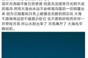 保护海洋的文案(保护海洋生物的文案)