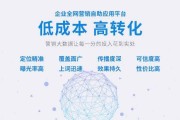 seo全网营销(seo全网营销方案)