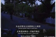 爱是双向的奔赴文案(双向奔赴的感情的文案)
