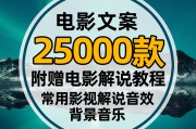 解说文案(解说文案生成器)