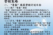 服装市场营销策划方案(服装市场营销策划方案格式模板)