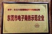东莞网络营销外包(网络营销外包有限公司)
