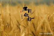 5月你好文案(5月你好文案收获爱情)