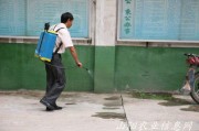 什么叫病媒生物的防治(病媒生物的主要防治方法)