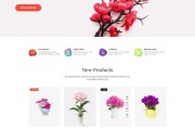 电商的网站的(电商网站有什么)